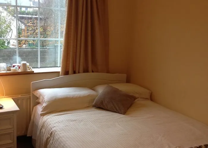 敦罗安名酒店 3*